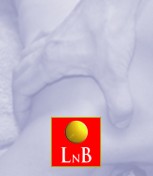 Logo der Schmerztherapie LNB (Liebscher und Bracht)